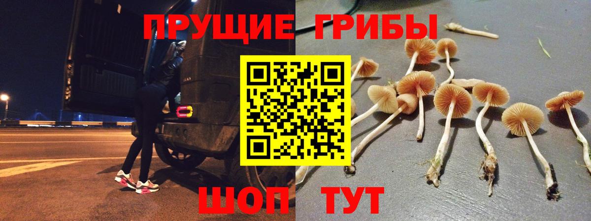 Галлюциногенные грибы мицелий Вичуга