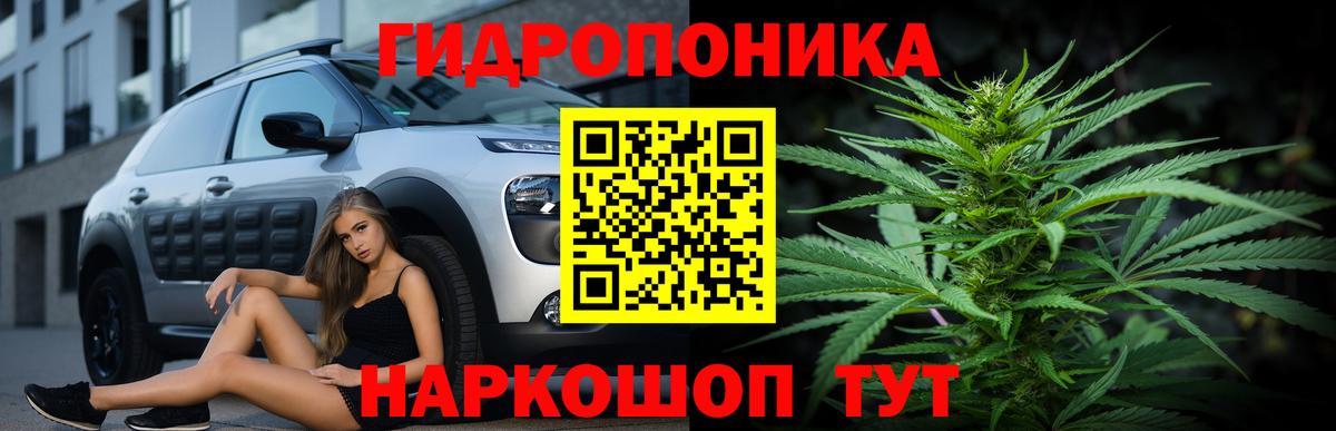 Конопля Bruce Banner Вичуга